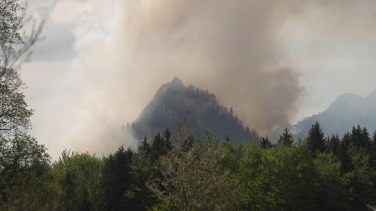 Waldbrand am Saurüsselkopf
