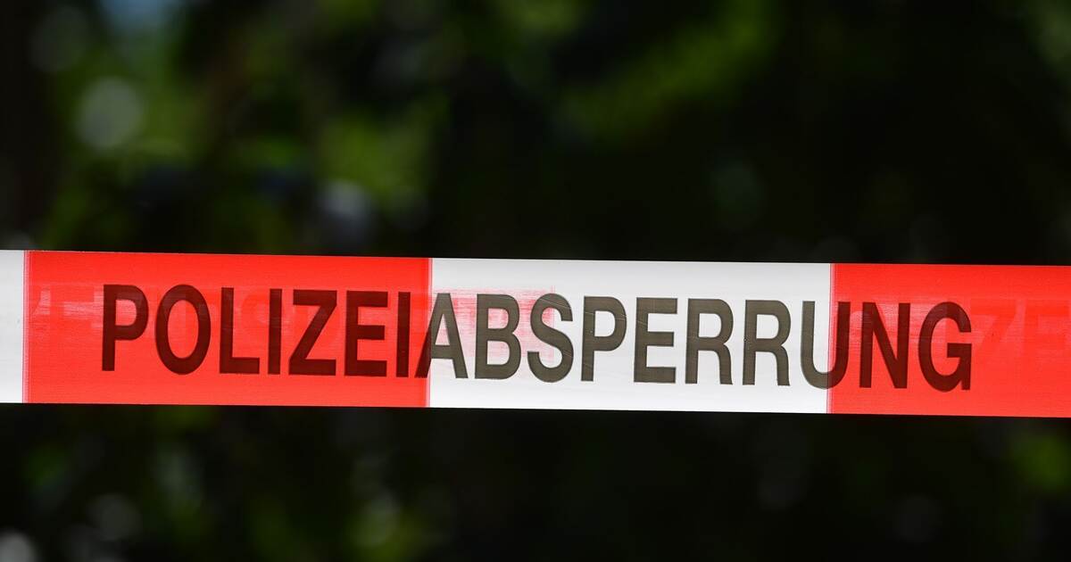 Fascination with True Crime - | What's behind the phenomenon?