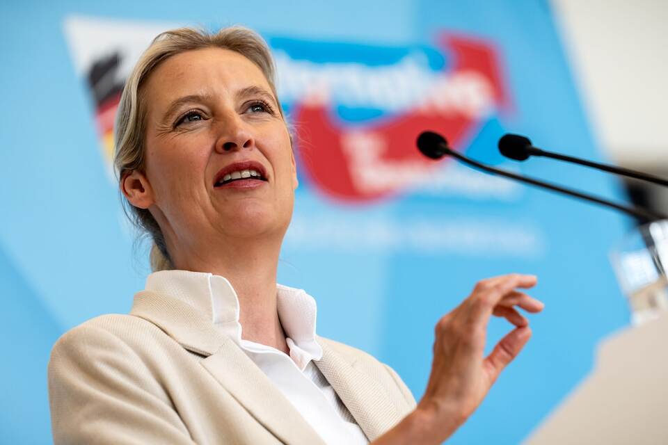 Alice Weidel