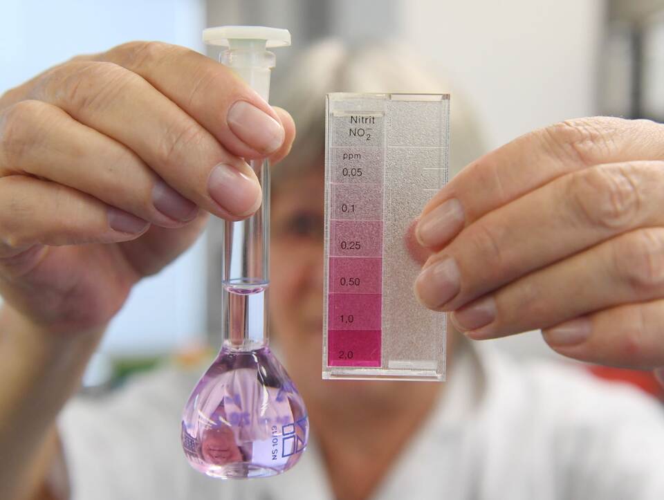 Studie deckt starke Grundwasser-Belastung am Oberrhein auf