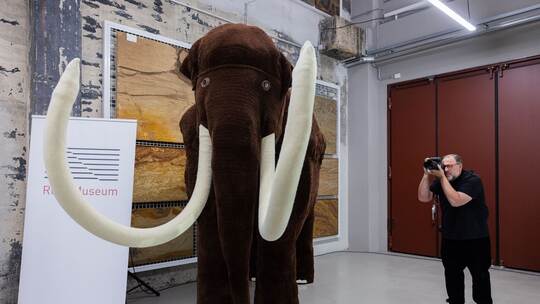Gehäkeltes Mammut - Rekord