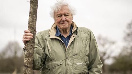 Sir David Attenborough Sir David Attenborough
