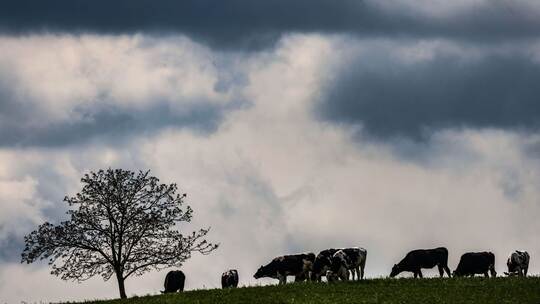 Wetter in der Eifel Wetter in der Eifel