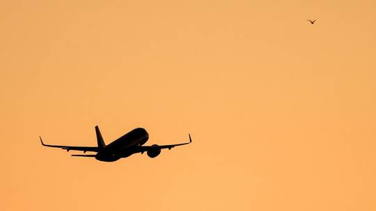 Flugzeug Flugzeug