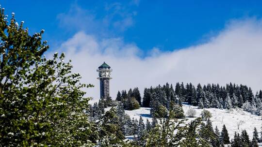 Eisheilige bringen Schnee in den Schwarzwald