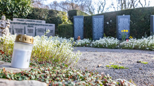 Anordnungsgräber Hauptfriedhof