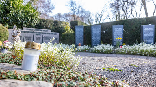 Anordnungsgräber Hauptfriedhof