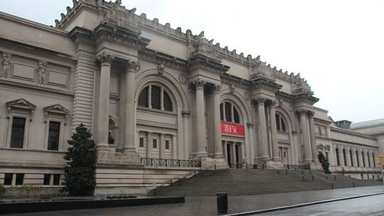 New Yorker Metropolitan Museum New Yorker Metropolitan Museum