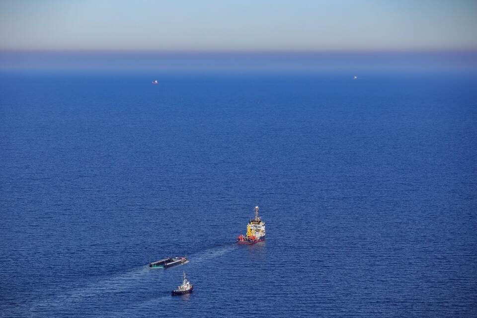 Weitere Entwicklung zum Buckelwal in der Ostsee Weitere Entwicklung zum Buckelwal in der Ostsee