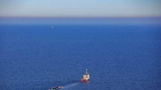Weitere Entwicklung zum Buckelwal in der Ostsee