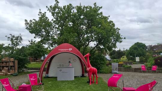 Pinke Giraffe gestohlen