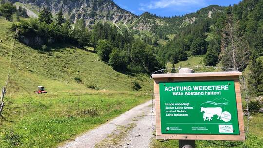 Hinweis zu Weidetieren auf Almen