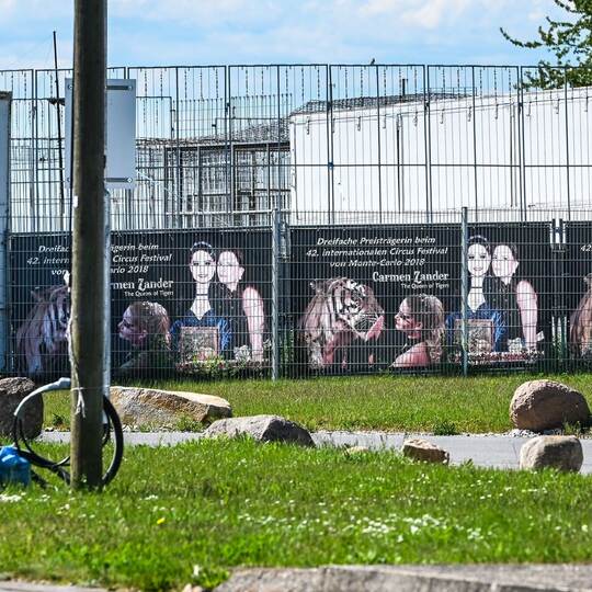 Ausgebrochener Tiger - Tag danach