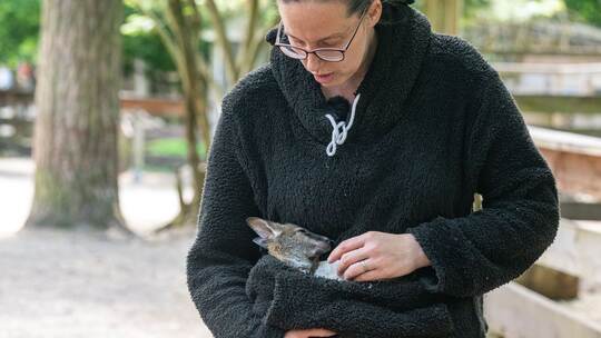 Tierpark-Chefin zieht Känguru-Baby im Pulli auf