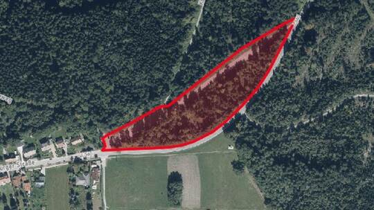 Am Ortseingang von Dobel beim Parkplatz Horntannhalde soll der neue Bauhof der Gemeinde errichtet werden. Gemeinde Dobel