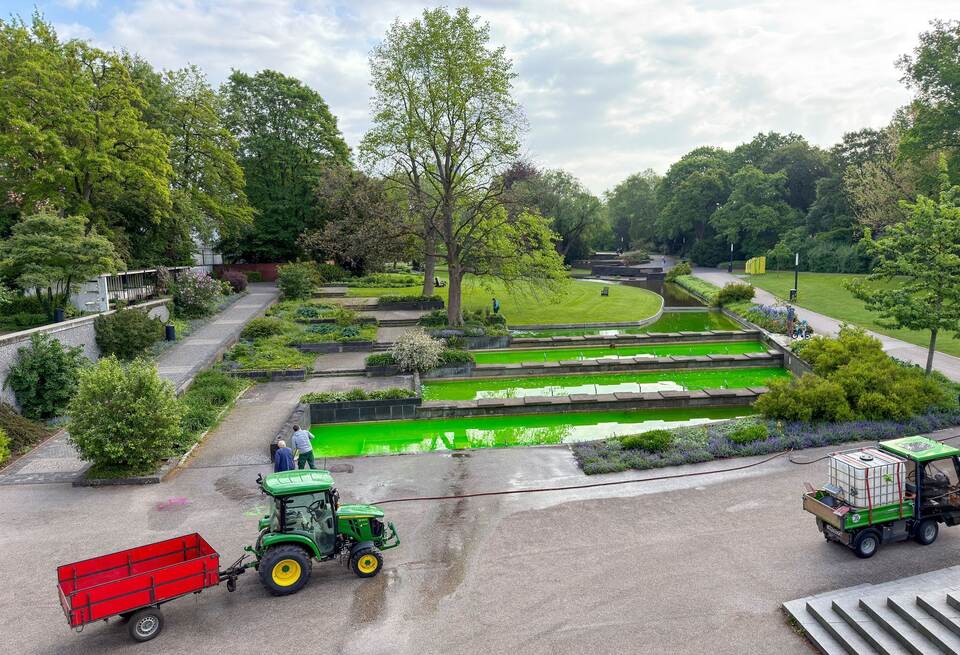 Protestbewegung färbt Brunnenwasser grün - Hamburg Protestbewegung färbt Brunnenwasser grün - Hamburg