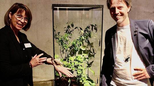 Angelika Taudien, Betriebsleiterin des Pforzheimer Gasometers, stellt gemeinsam mit Kurator und Biologe Mirko Wölfling die „Bewo