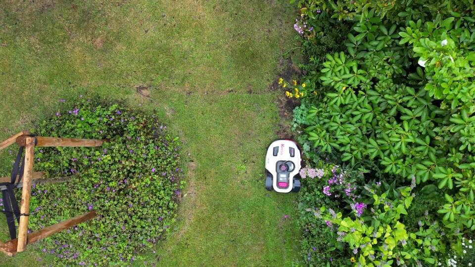 Igelschutz: Nachtfahrverbot für Mähroboter Igelschutz: Nachtfahrverbot für Mähroboter