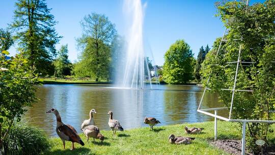 Sommerliches Wetter in Rheinland-Pfalz Sommerliches Wetter in Rheinland-Pfalz