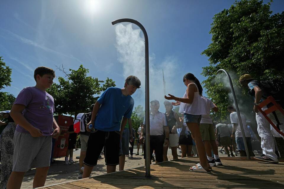 French Open Tennis French Open Tennis