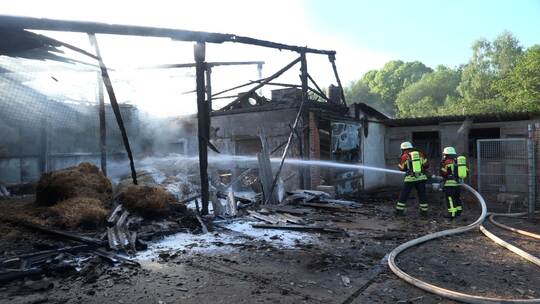 Brand auf Geflügelhof Brand auf Geflügelhof