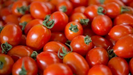 Tomaten Tomaten
