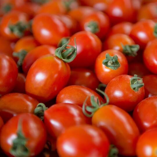 Tomaten