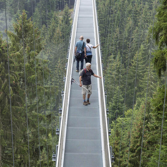 Schau mal wo ich lebe - Wildline Bad Wildbad