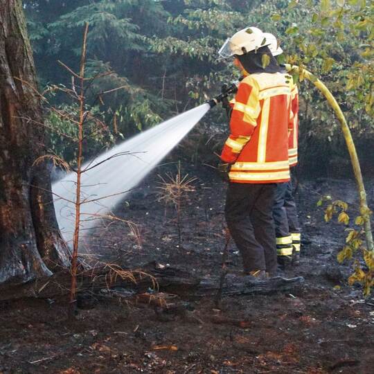 Brand im Hardtwald