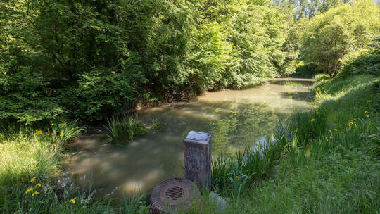 Der einstige Angelteich im Ranntal, in dem vor einem Jahr der Leichnam von Igor Tereshchenko aus Baden-Baden gefunden wurde: Heu