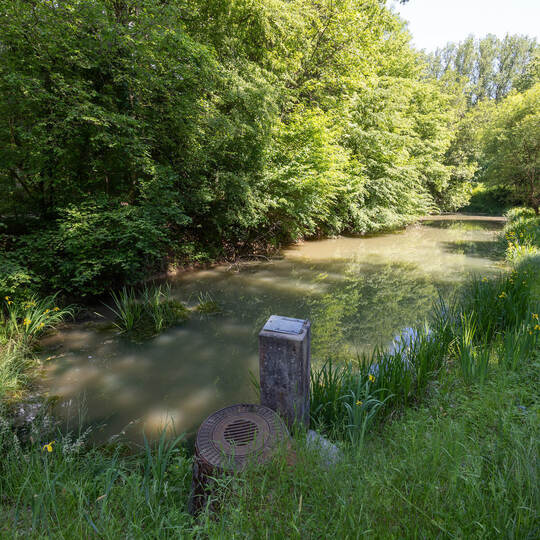Der einstige Angelteich im Ranntal, in dem vor einem Jahr der Leichnam von Igor Tereshchenko aus Baden-Baden gefunden wurde: Heu