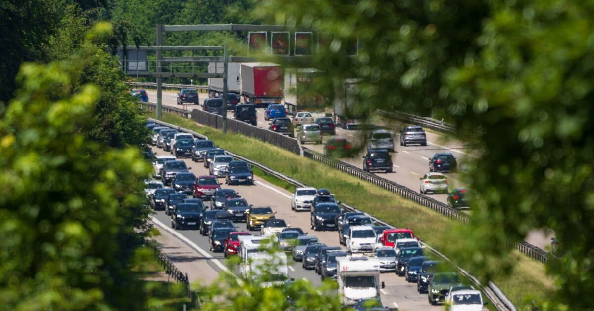 These are the consequences of the Brenner Pass blockage on the southwest