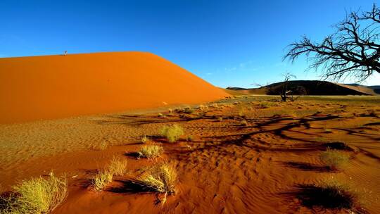 Sanddünen in Sossusvlei