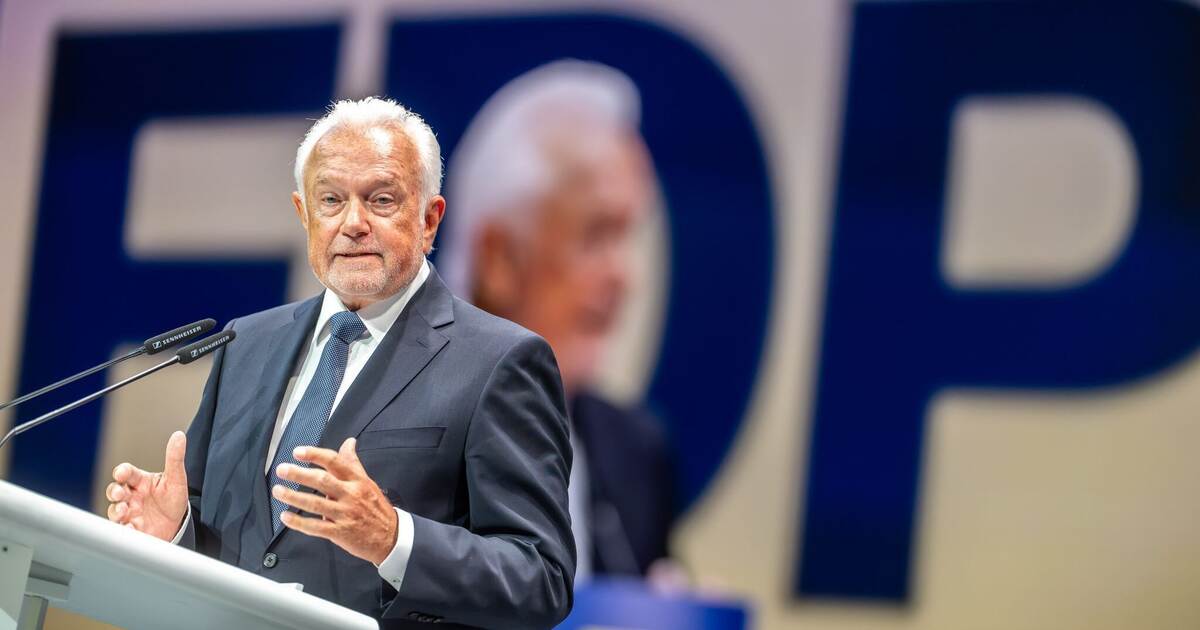 Kubicki wins contested election for FDP chairmanship