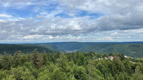 Impressionen aus dem Schwarzwald