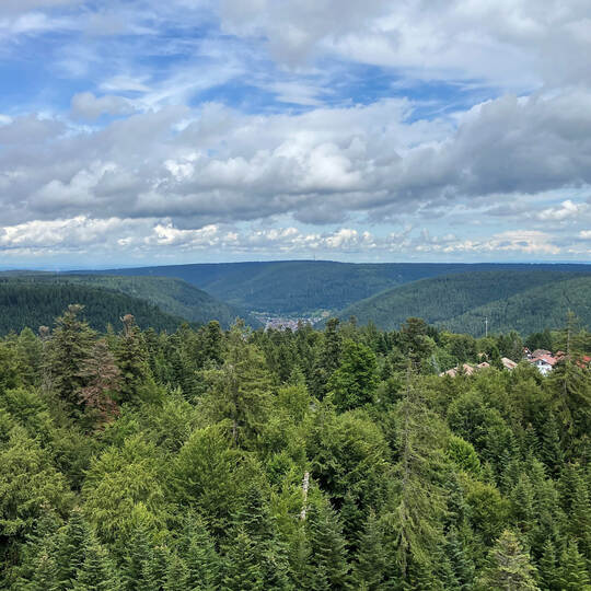 Impressionen aus dem Schwarzwald