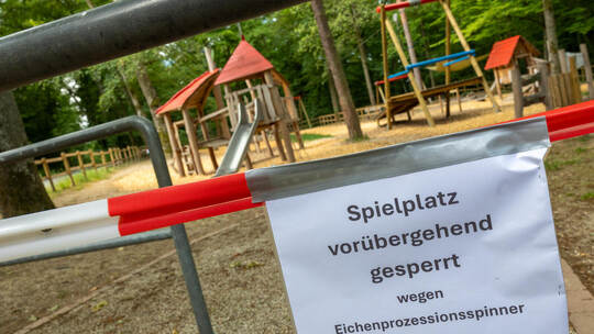 Der Waldpark-Spielplatz in Eisingen wurde wegen dem fund eines Eichenprozessionsspinnernestes gesperrt. Mühlthaler