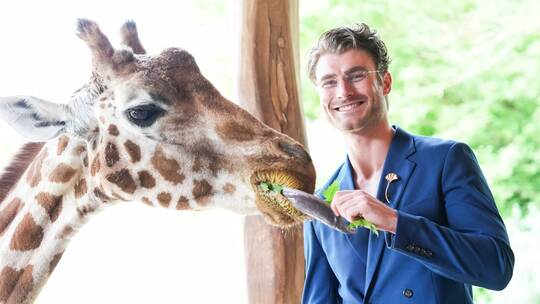 Model Linus Weber wird Namenspate für Giraffenjungtier