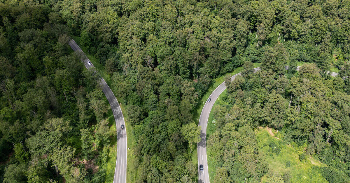 Formerly one of the most dangerous roads in the Enz district: New figures ...