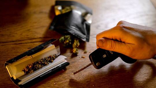 Cannabis Cannabis