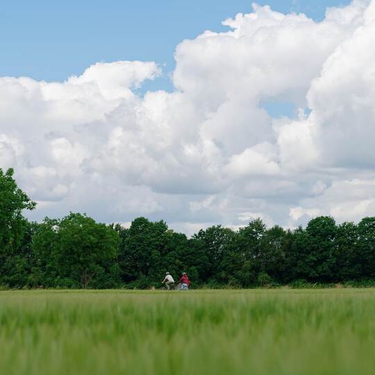 Wetter in Baden-Württemberg