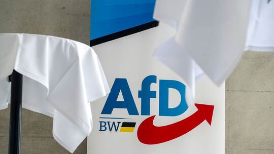 AfD-Landesparteitag Baden-Württemberg