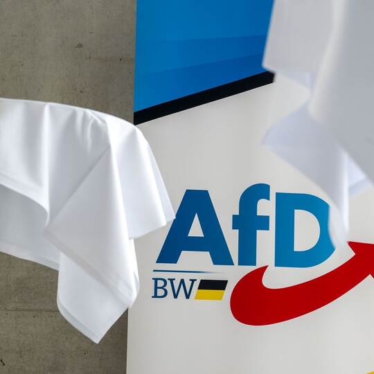 AfD-Landesparteitag Baden-Württemberg