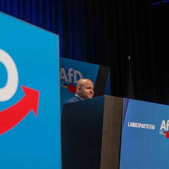 AfD-Landesparteitag Baden-Württemberg