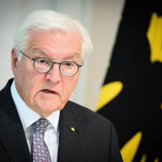 Bundespräsident Steinmeier