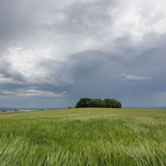 Wetter in Baden-Württemberg