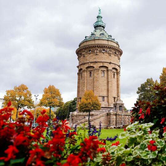 Mannheim