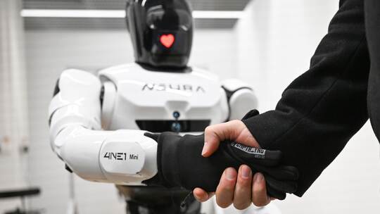 Neura Robotics Neura Robotics