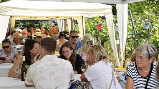 Das macht den Reiz des Weinblütenfests in den Ellmendinger Reblagen seit Jahren aus: Man kann Speis und Trank mitten in der Natu