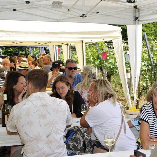 Das macht den Reiz des Weinblütenfests in den Ellmendinger Reblagen seit Jahren aus: Man kann Speis und Trank mitten in der Natu